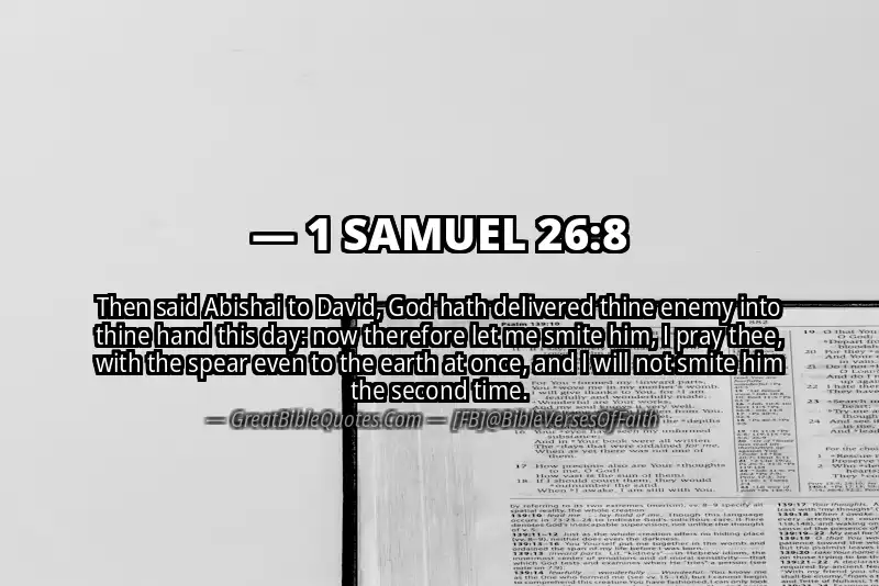 Bible verse: 1 SAMUEL 26:8 Image