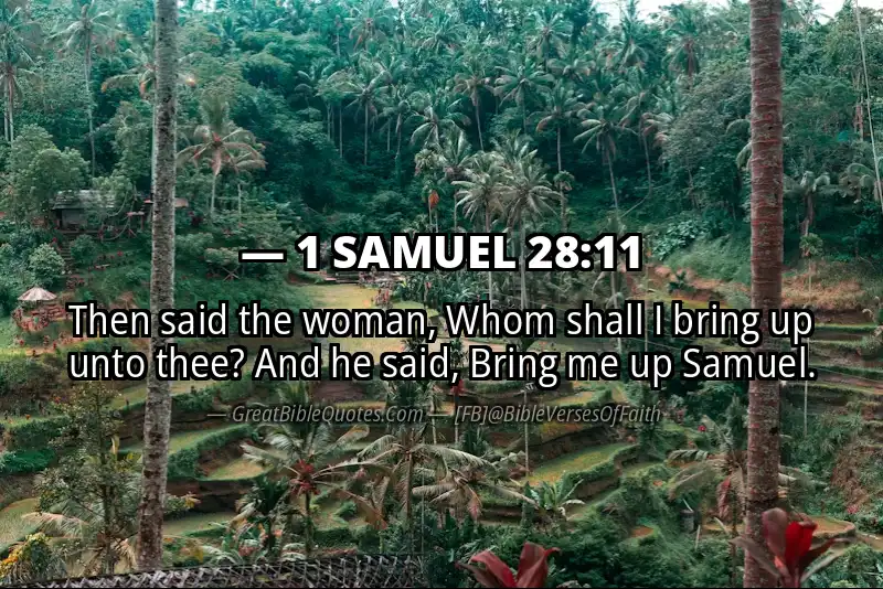 1 SAMUEL 28:11 Verse