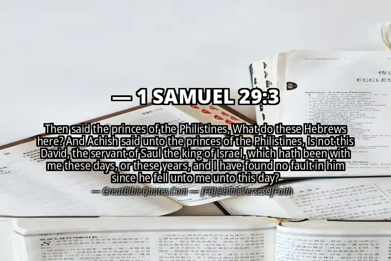 Bible verse: 1 SAMUEL 29:3 Image