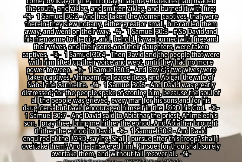Image for 1 SAMUEL 30:1-8 Bible verse