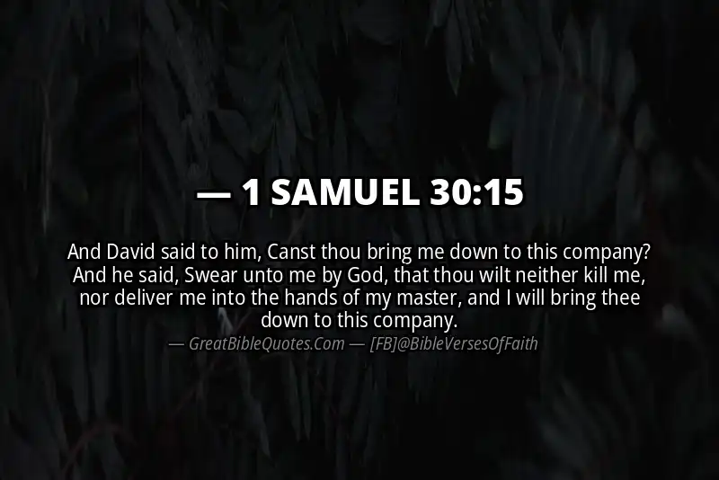 1 SAMUEL 30:15 Verse