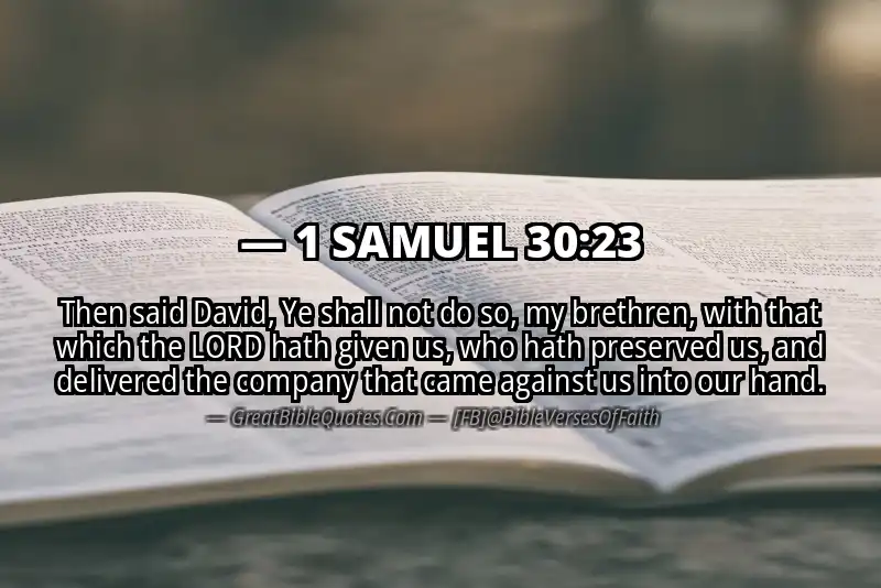 Bible verse: 1 SAMUEL 30:23 Image