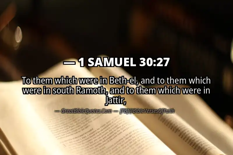 Bible verse: 1 SAMUEL 30:27 Image