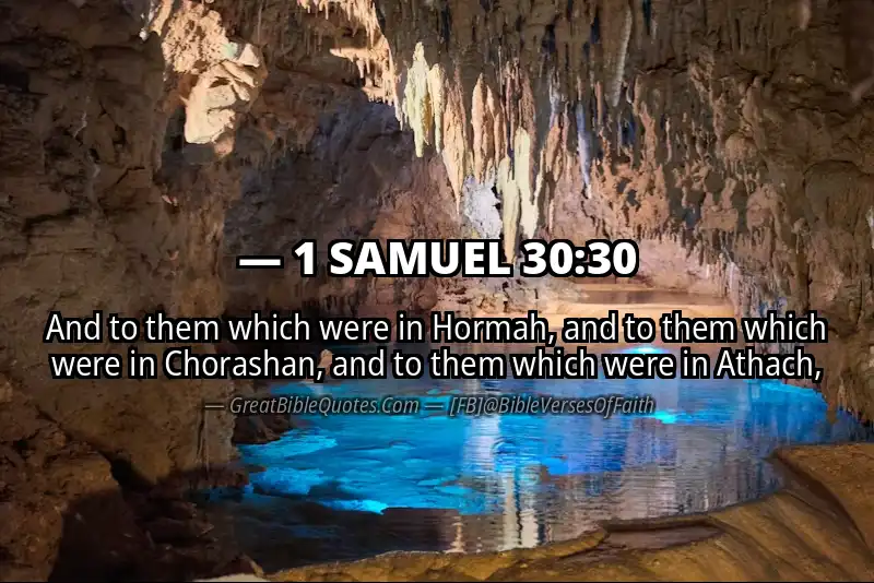 Bible verse: 1 SAMUEL 30:30 Image