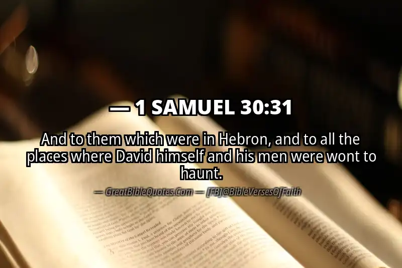 Bible verse: 1 SAMUEL 30:31 Image