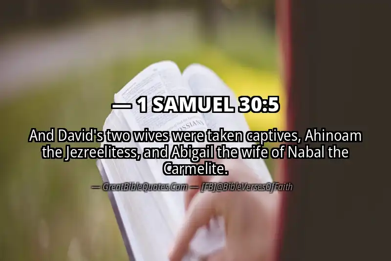Bible verse: 1 SAMUEL 30:5 Image