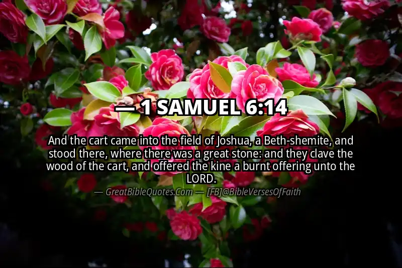 Bible verse: 1 SAMUEL 6:14 Image