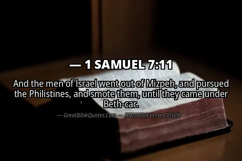 Bible verse: 1 SAMUEL 7:11 Image