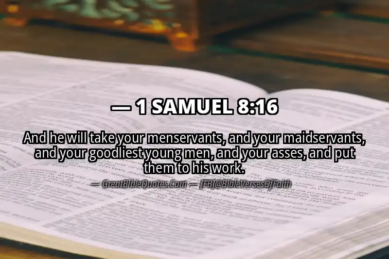 1 SAMUEL 8:16 Verse