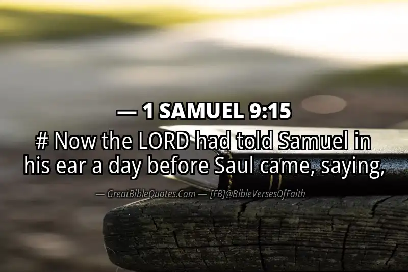 1 SAMUEL 9:15 Verse
