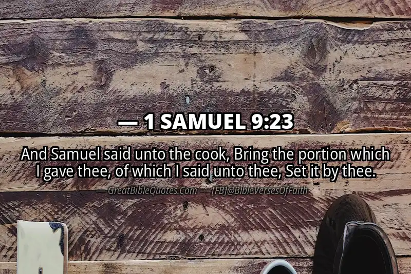 1 SAMUEL 9:23 Verse