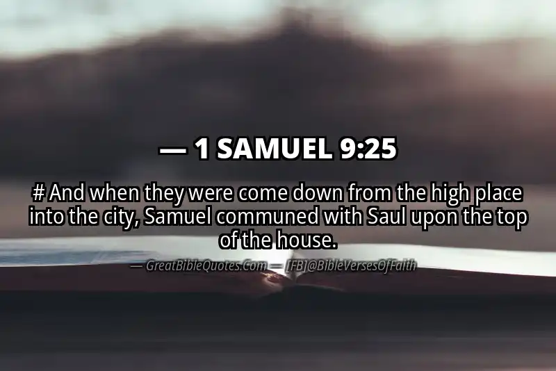 1 SAMUEL 9:25 Verse Image