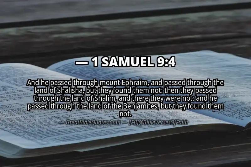 Bible verse: 1 SAMUEL 9:4 Image