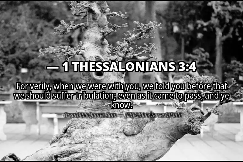 Bible verse: 1 THESSALONIANS 3:4 Image