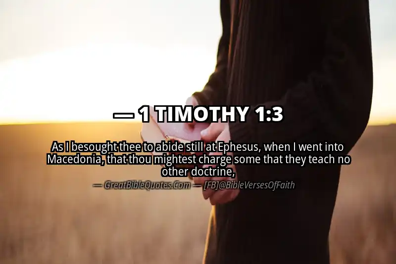 1 TIMOTHY 1:3 Verse