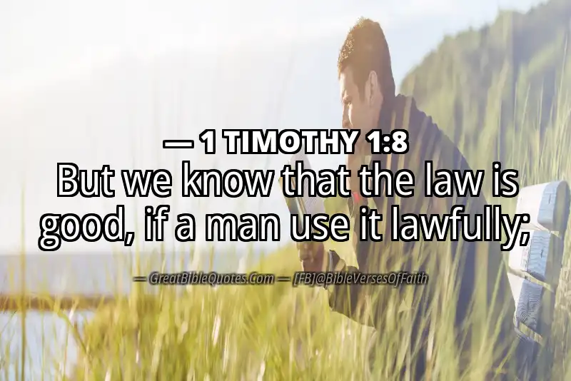 1 TIMOTHY 1:8 Verse