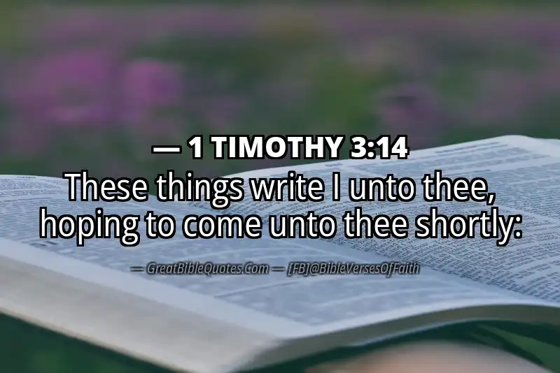 1 TIMOTHY 3:14 Verse