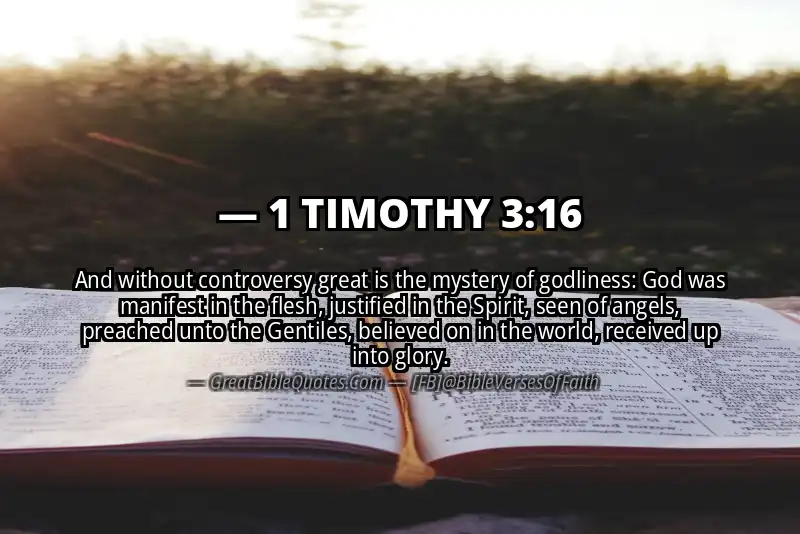 1 TIMOTHY 3:16 Verse