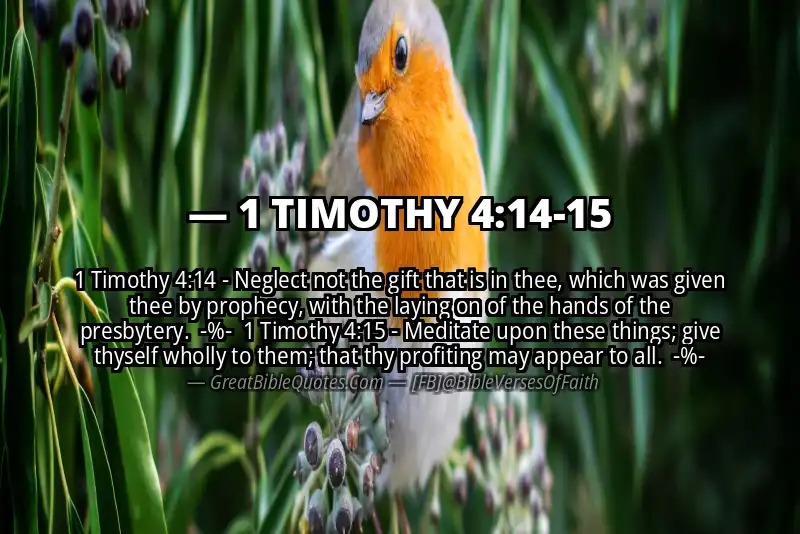 Image for 1 TIMOTHY 4:14-15 Bible verse