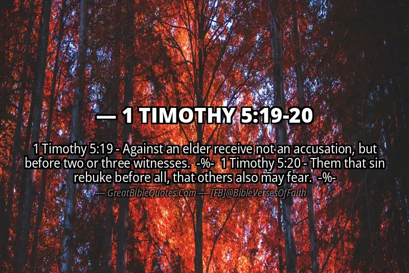Image for 1 TIMOTHY 5:19-20 Bible verse