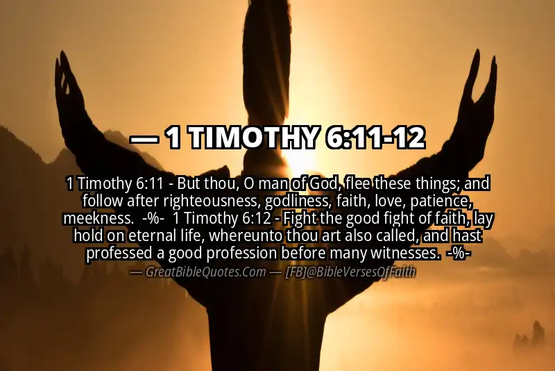 Image for 1 TIMOTHY 6:11-12 Bible verse
