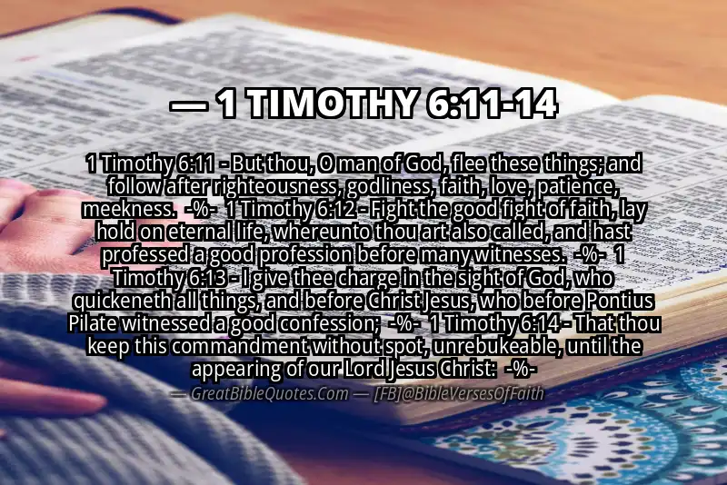 Image for 1 TIMOTHY 6:11-14 Bible verse