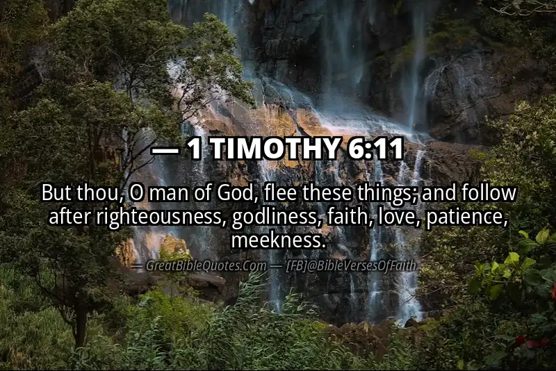 Bible verse: 1 TIMOTHY 6:11 Image