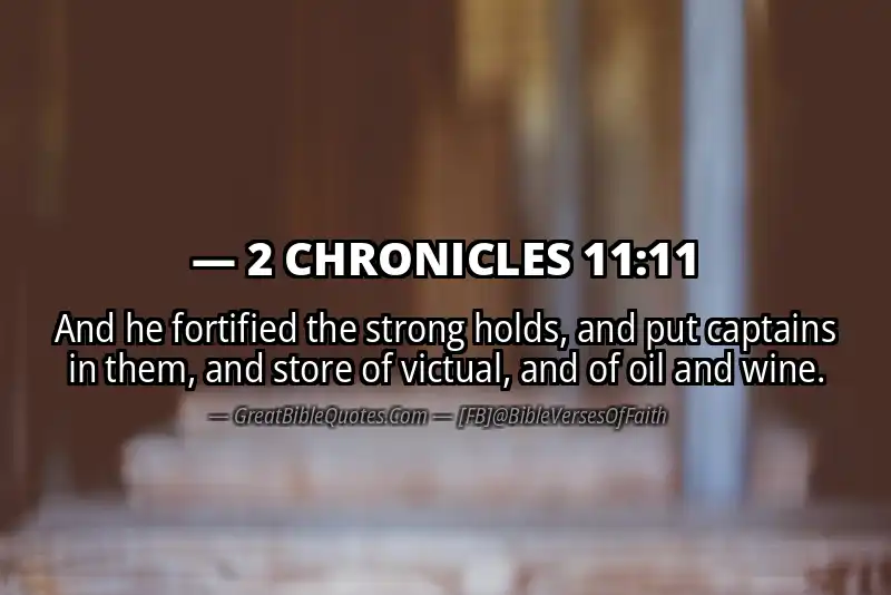 Bible verse: 2 CHRONICLES 11:11 Image