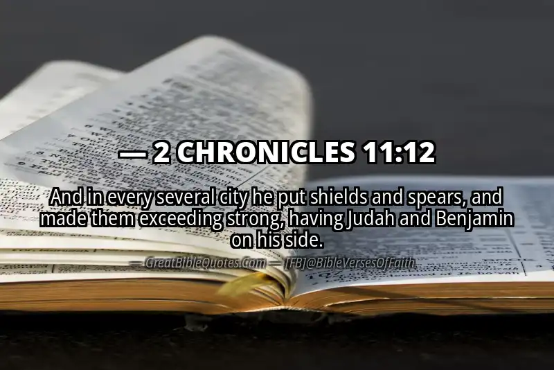 Bible verse: 2 CHRONICLES 11:12 Image