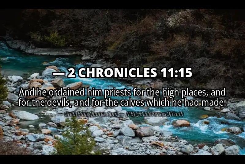 2 CHRONICLES 11:15 Verse