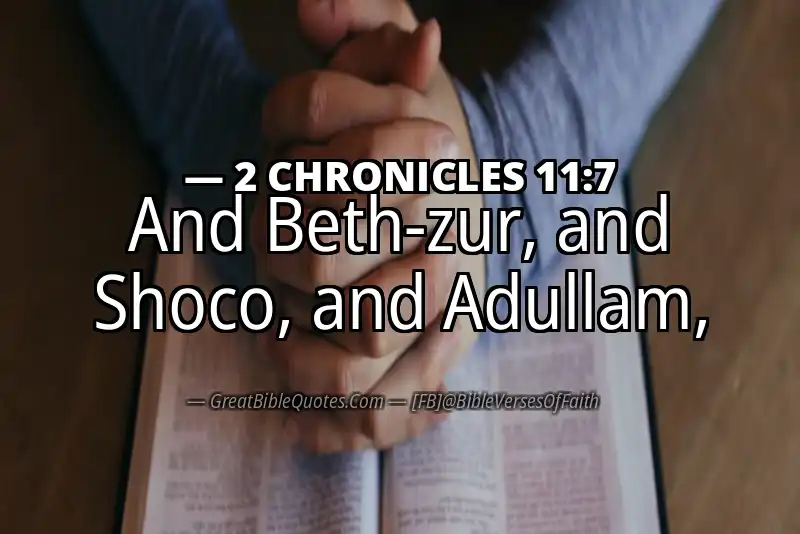 2 CHRONICLES 11:7 Verse