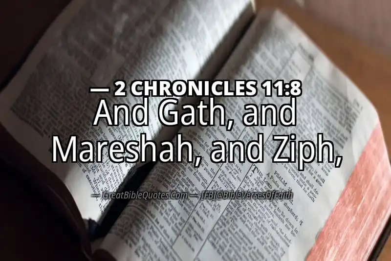 2 CHRONICLES 11:8 Verse