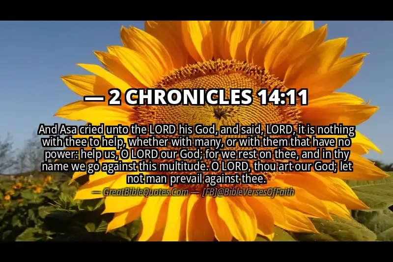Bible verse: 2 CHRONICLES 14:11 Image