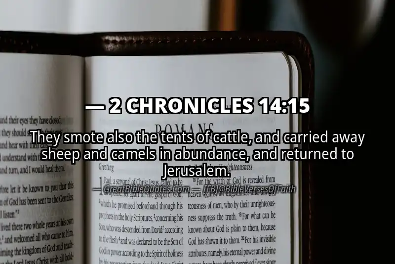 Bible verse: 2 CHRONICLES 14:15 Image