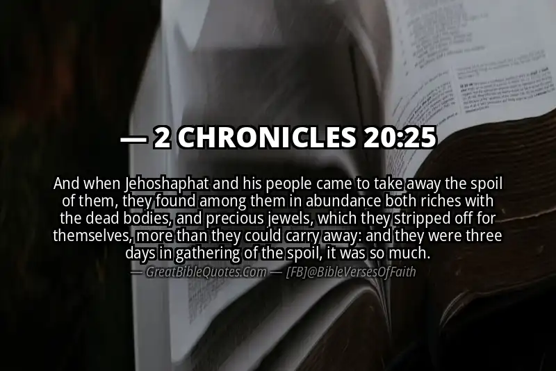2 CHRONICLES 20:25 Verse Image