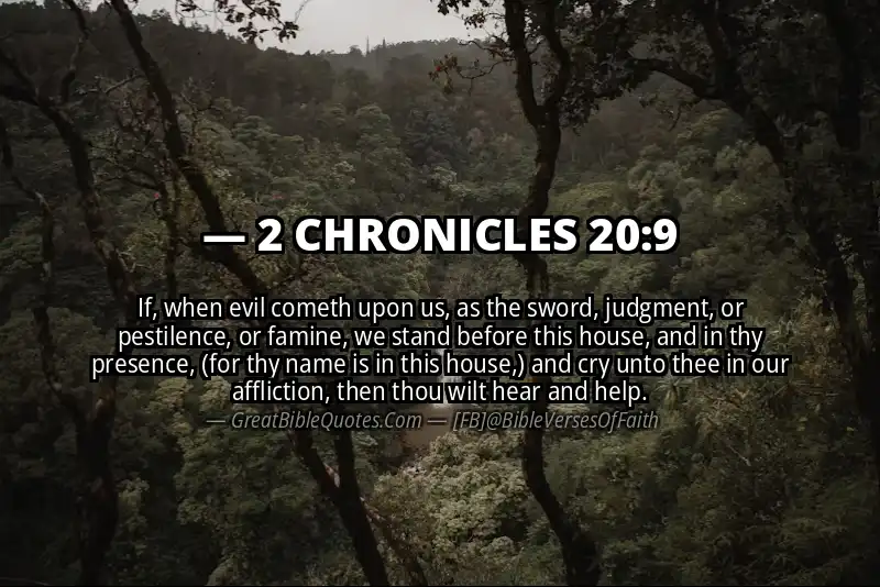 Bible verse: 2 CHRONICLES 20:9 Image