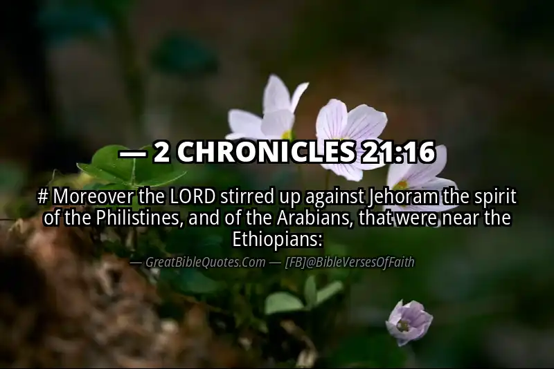 Bible verse: 2 CHRONICLES 21:16 Image