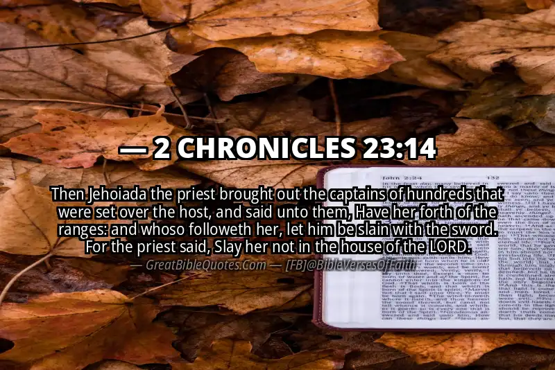2 CHRONICLES 23:14 Verse
