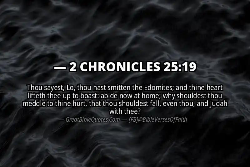 2 CHRONICLES 25:19 Verse