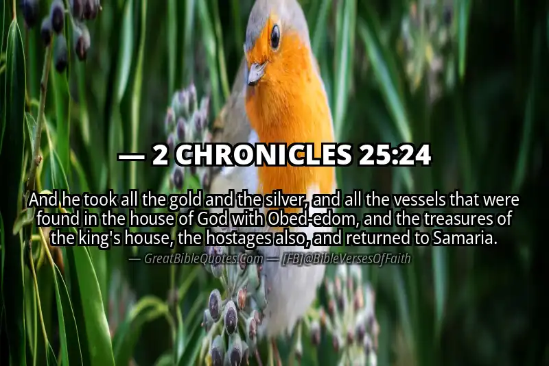 Bible verse: 2 CHRONICLES 25:24 Image