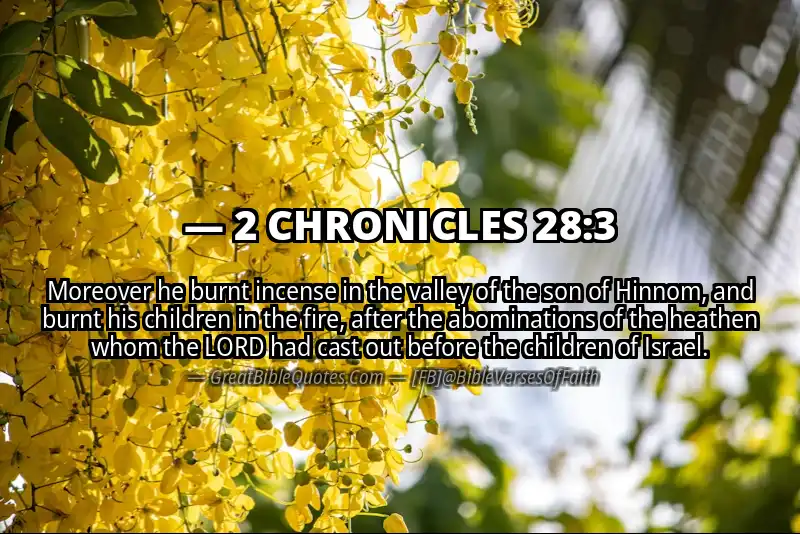 Bible verse: 2 CHRONICLES 28:3 Image