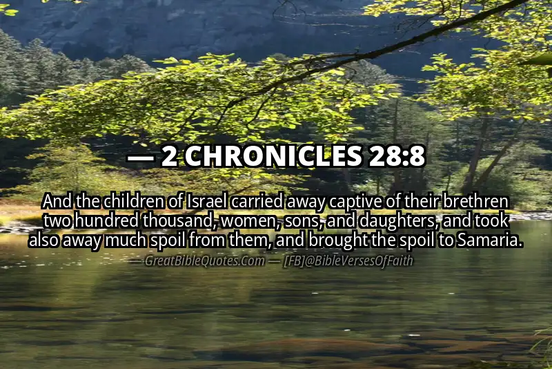 2 CHRONICLES 28:8 Verse Image