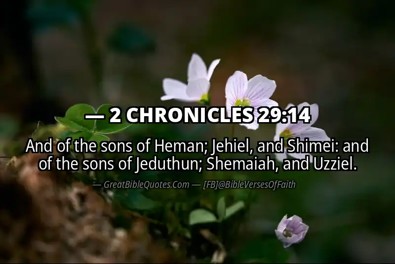 2 CHRONICLES 29:14 Verse