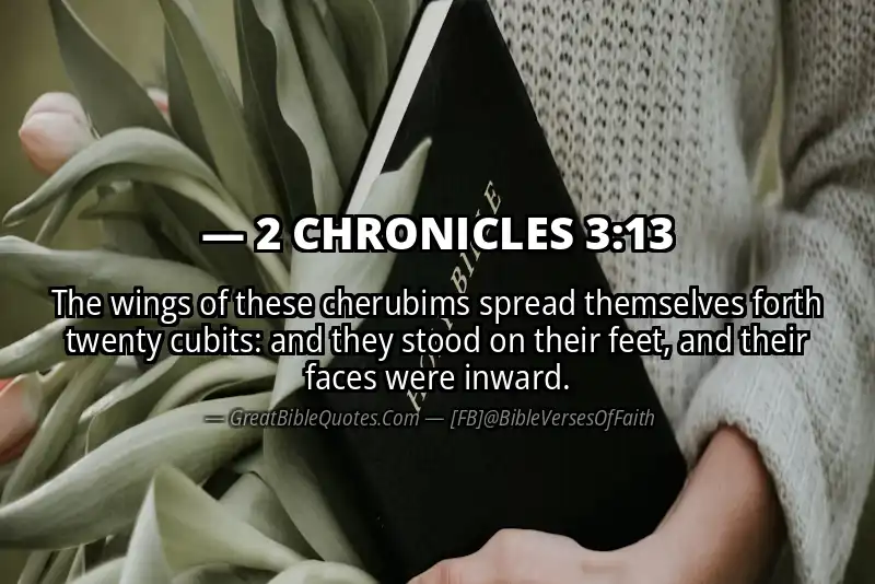Bible verse: 2 CHRONICLES 3:13 Image
