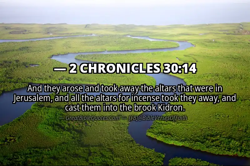 2 CHRONICLES 30:14 Verse