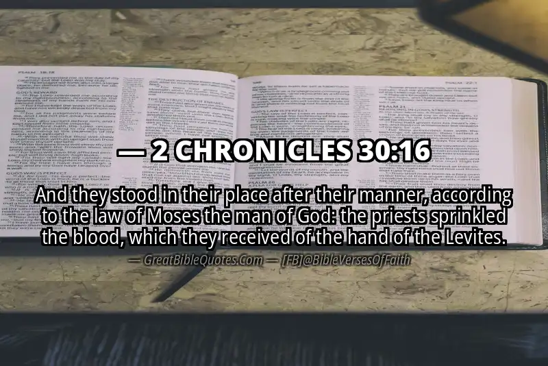 2 CHRONICLES 30:16 Verse