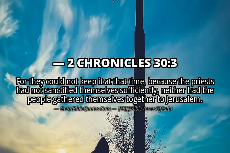 2 CHRONICLES 30:3 Verse