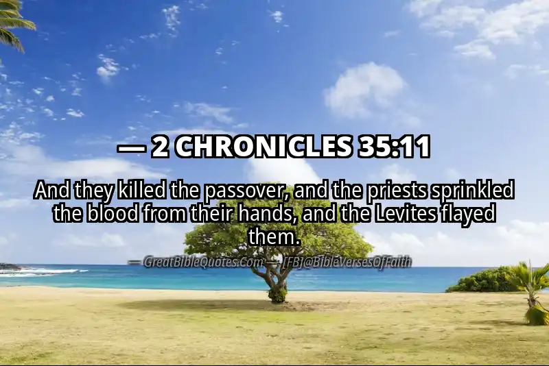 Bible verse: 2 CHRONICLES 35:11 Image