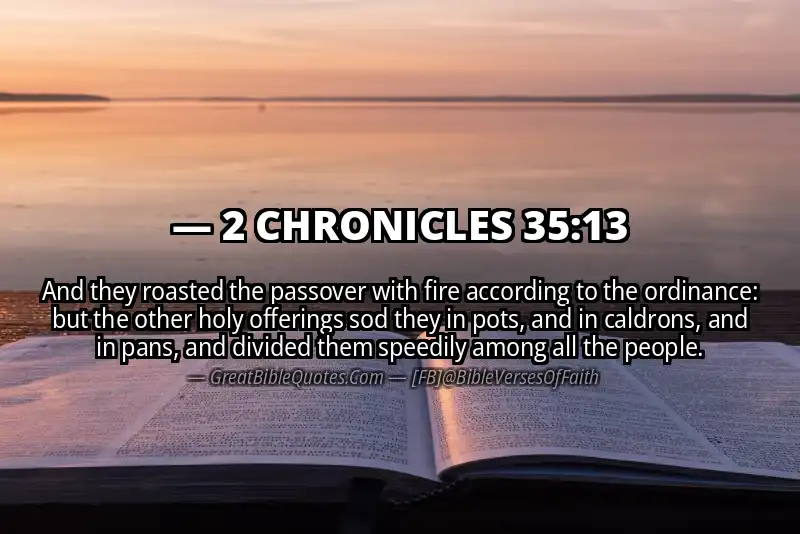 Bible verse: 2 CHRONICLES 35:13 Image