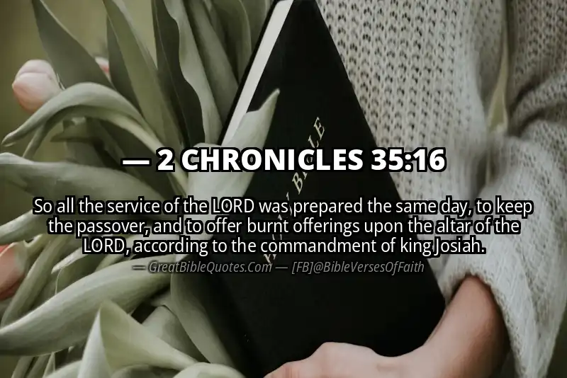 Bible verse: 2 CHRONICLES 35:16 Image
